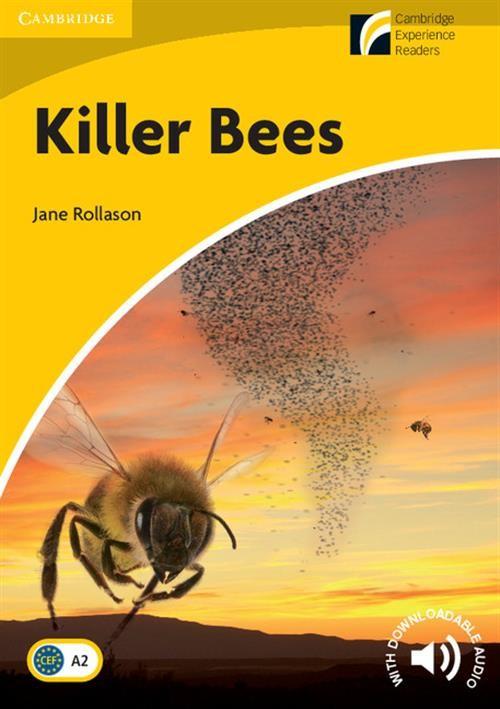 

Killer Bees Jane Rollason
