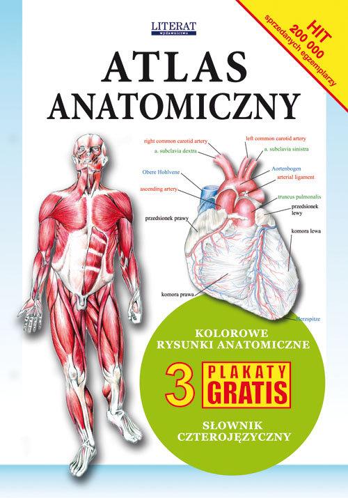 

Atlas anatomiczny 3 plakaty