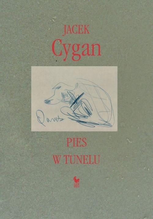 Pies w tunelu Jacek Cygan