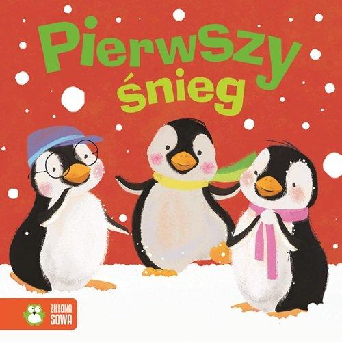 

Pierwszy śnieg Kasia Nowowiejska