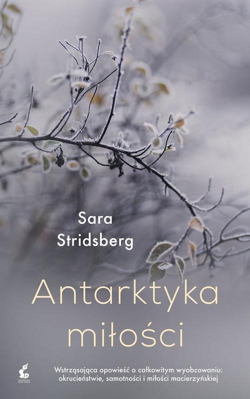 

Antarktyka miłości Sara Stridsberg