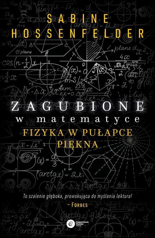 

Zagubione w matematyce Sabine Hosenfelder