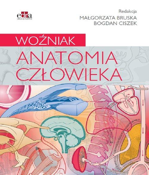 

Anatomia człowieka Woźniak B. Ciszek, M. Bruska