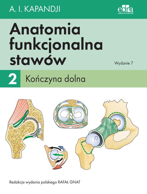 

Anatomia Funkcjonalna Stawów Tom 2 Kończyna Dolna