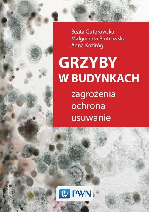 

Grzyby w budynkach