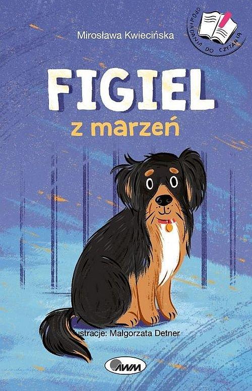 

Figiel z marzeń Opowiadania do czytania Kwiwcińska
