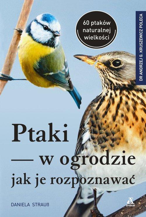 

Ptaki w ogrodzie Jak je rozpoznawać Daniela Strauß