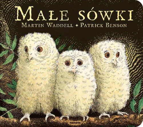 

Małe sówki Martin Waddell