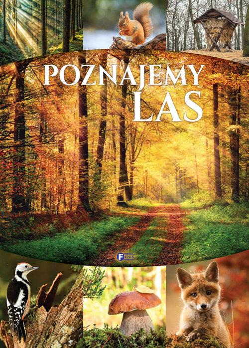 

Poznajemy las Tw Fenix Fenix