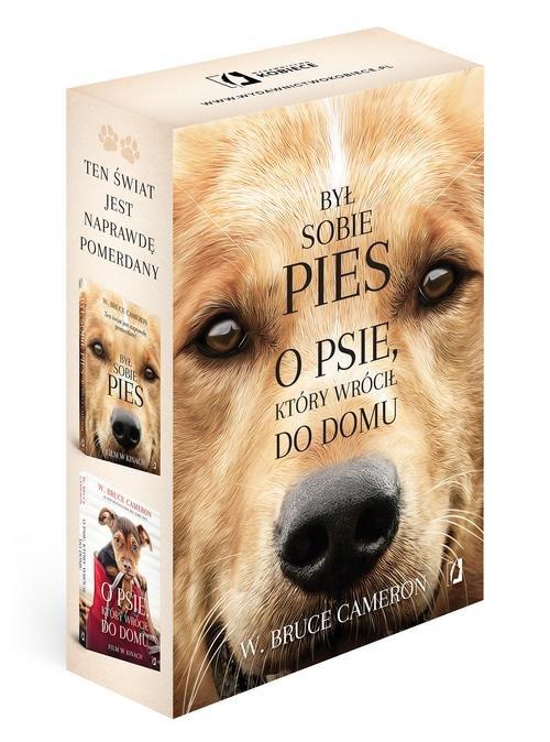 

Był sobie pies/O psie który wrócił do domu Bruce