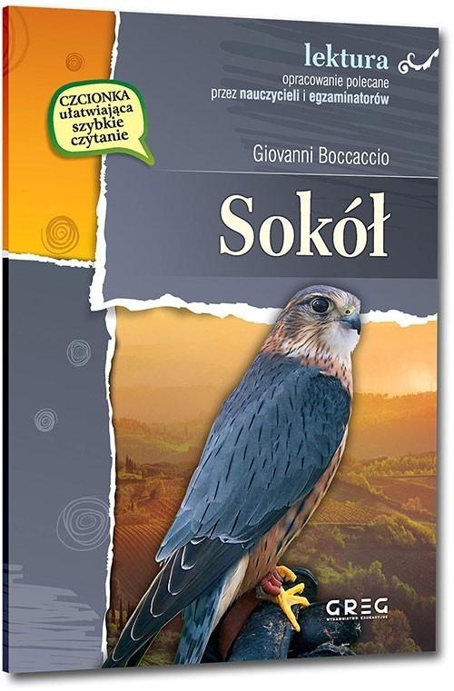 

Sokół Giovanni Boccaccio