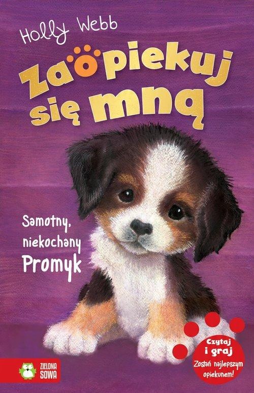 

Samotny niekochany Promyk Holly Webb