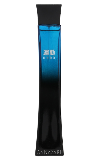 Annayake Undo Pour Homme Edt M 100 ml (Toaletní voda pro muže)