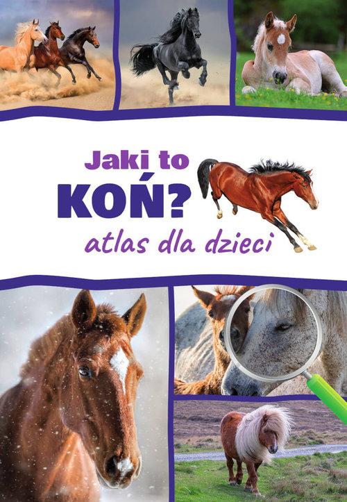 

Atlas dla dzieci Jaki to koń