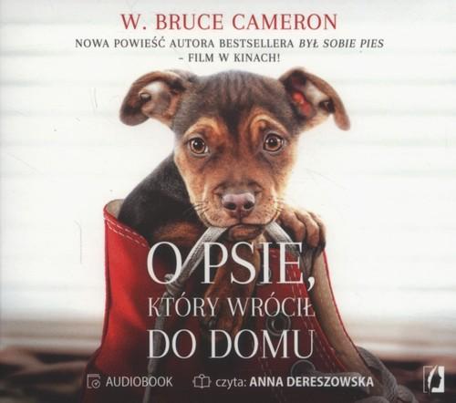 

O psie który wrócił do domu Cameron W. Bruce