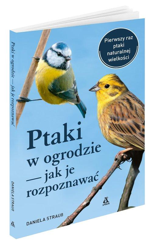 

Ptaki w ogrodzie jak je rozpoznawać Daniela