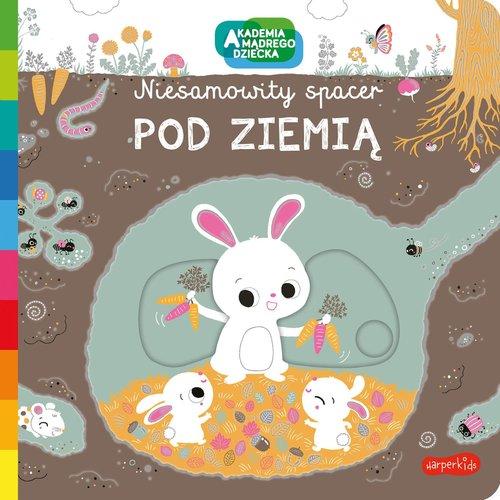 

Akademia Mądrego Dziecka Pod Ziemią Ruchome Elemen