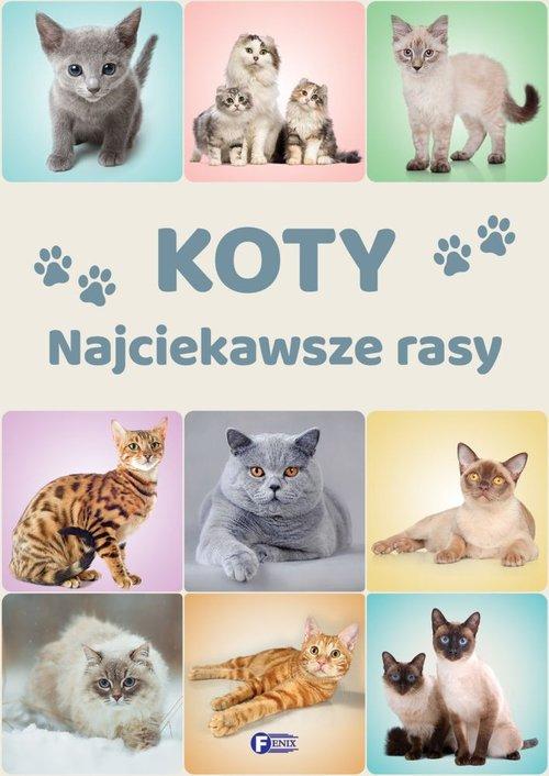 

Koty. Najciekawsze rasy Fenix
