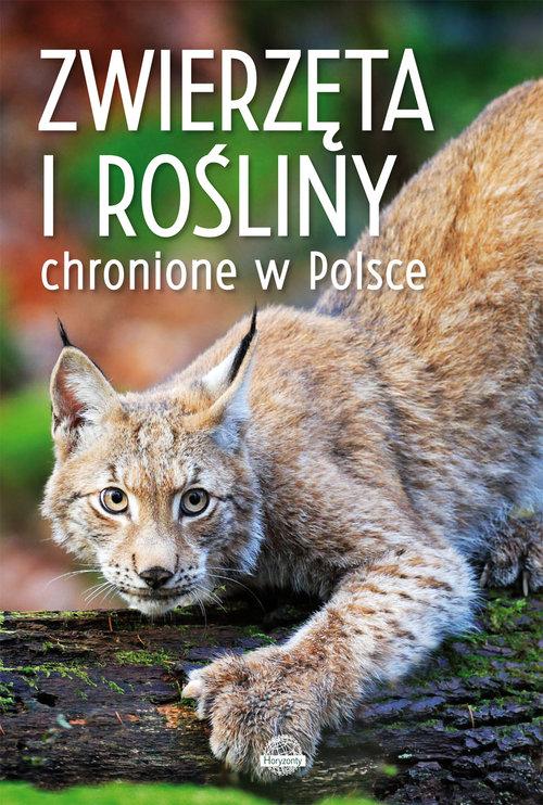 

Zwierzęta i rośliny chronione w Polsce