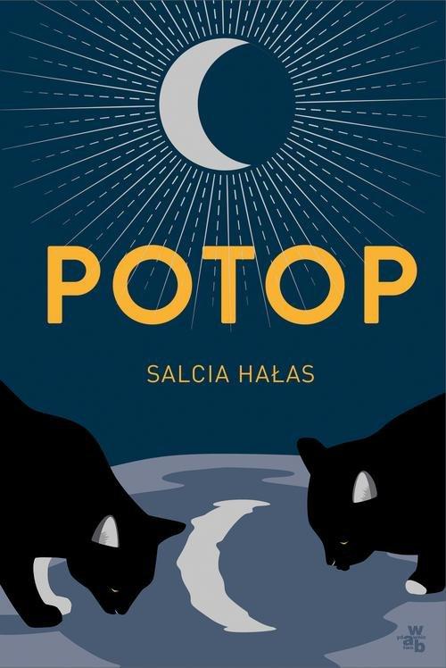 

Potop Salcia Hałas