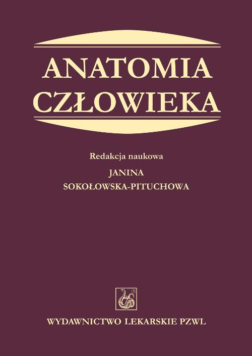 

Anatomia człowieka