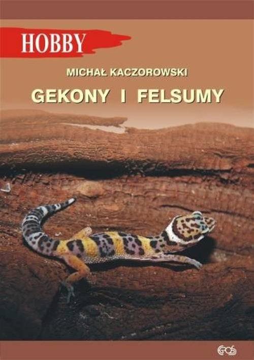 

Gekony i felsumy Michał Kaczorowski