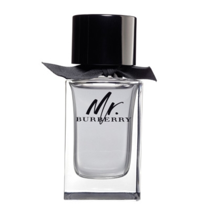 Toaletní voda Burberry Mr. Burberry Edt 100 ml