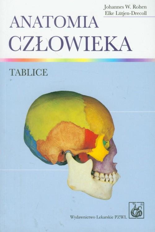 

Anatomia człowieka Tablice Lutjen-Drecoll, Rohen