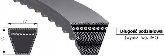 PAS PASEK KLINOWY UZĘBIONY AVX 10/610 AVX 10x610 Numer katalogowy części AVX 10x0610