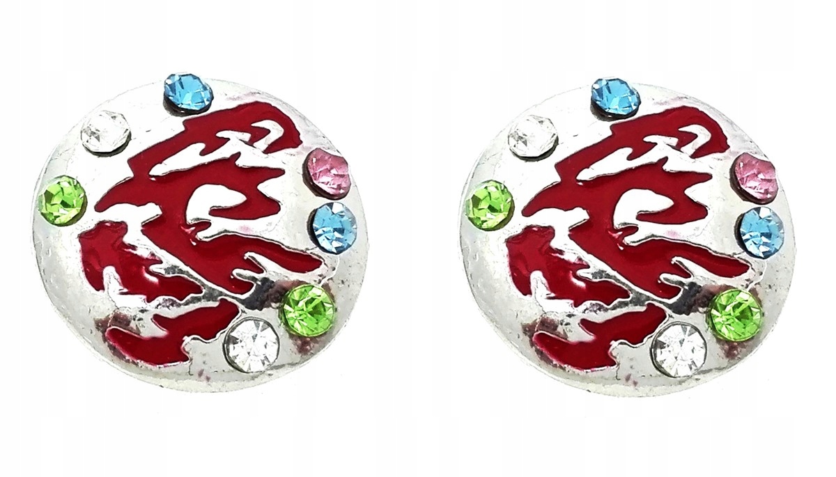 

Kolczyki koła z kryształkami srebrny