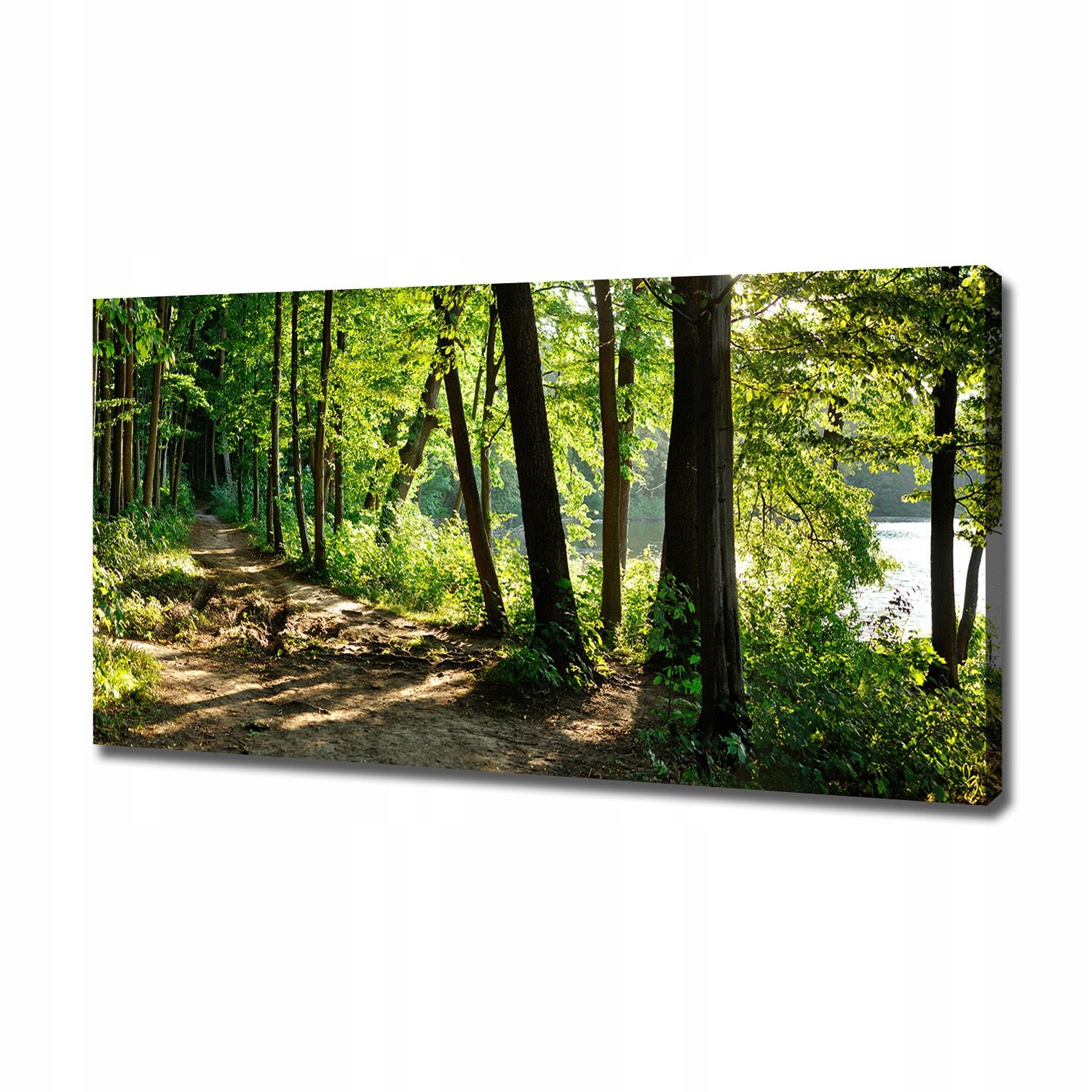 

Foto obraz na płótnie Ścieżka na łące 120x60 cm