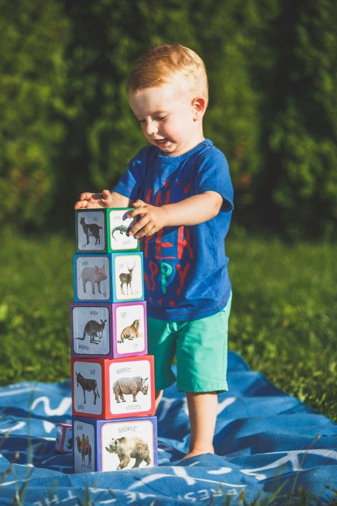 PIRAMIDA ZABAW EDUKACYJNA DWUJĘZYCZNA ZWIERZĘTA +1 Kod producenta PZ-01