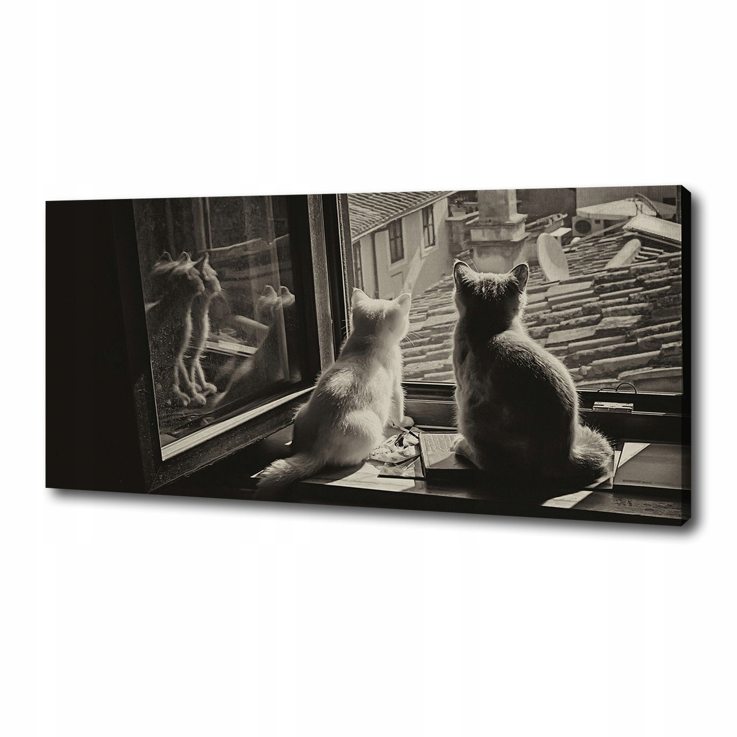 

Foto obraz na płótnie Koty przy oknie 125x50 cm