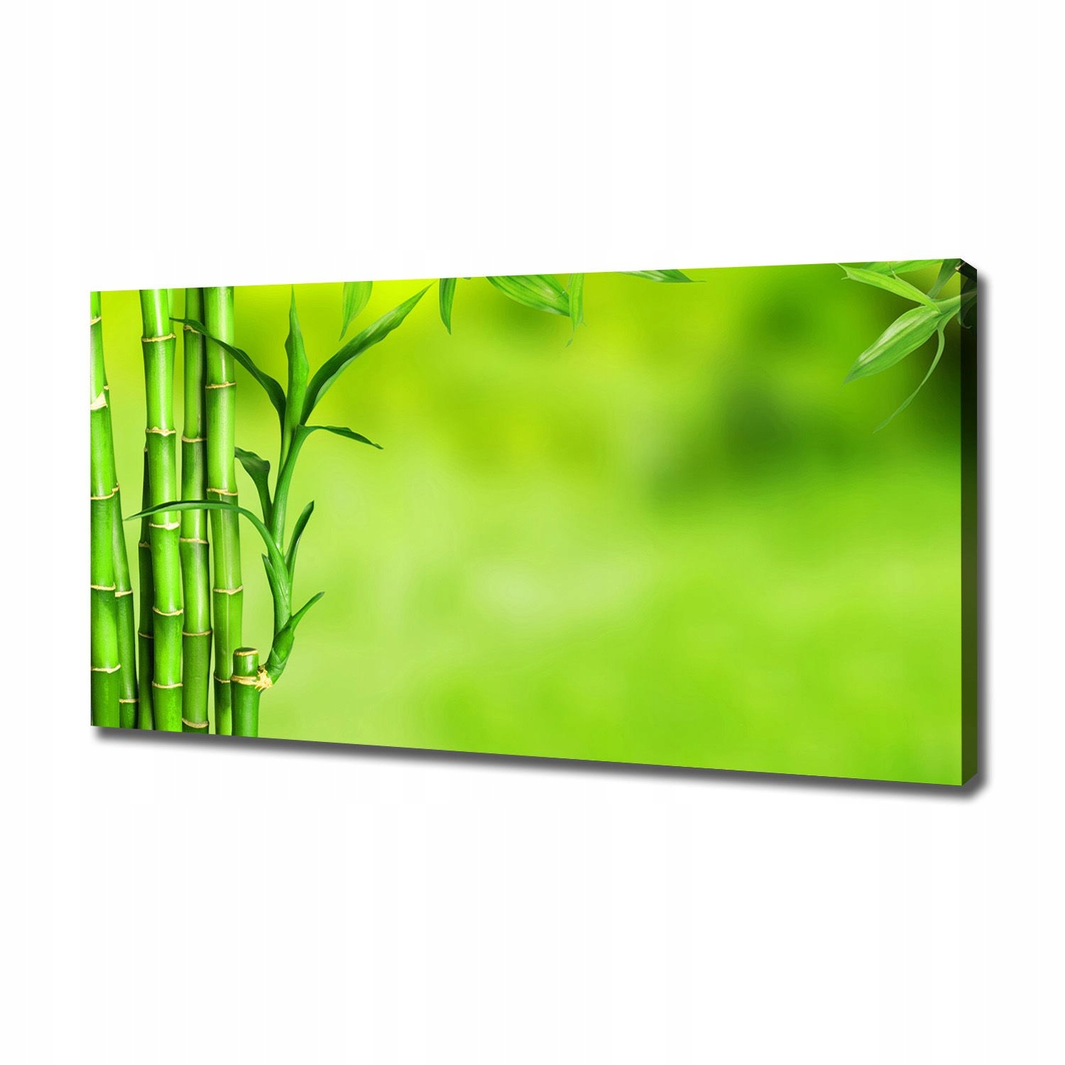 

Duży foto obraz na ścianę canvas Bambus 120x60 cm