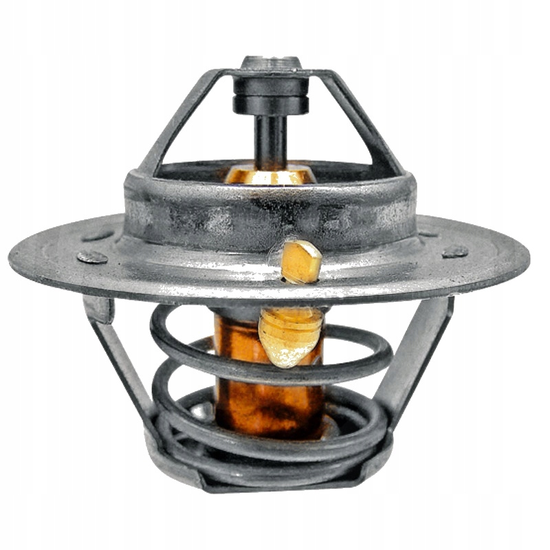 Termostat Renault 54mm 6005022968