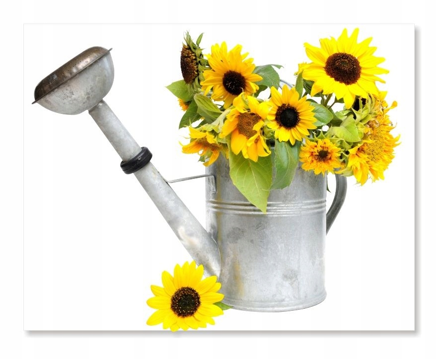 

Naklejki ścienne kwiaty 100cm Słonecznik 1