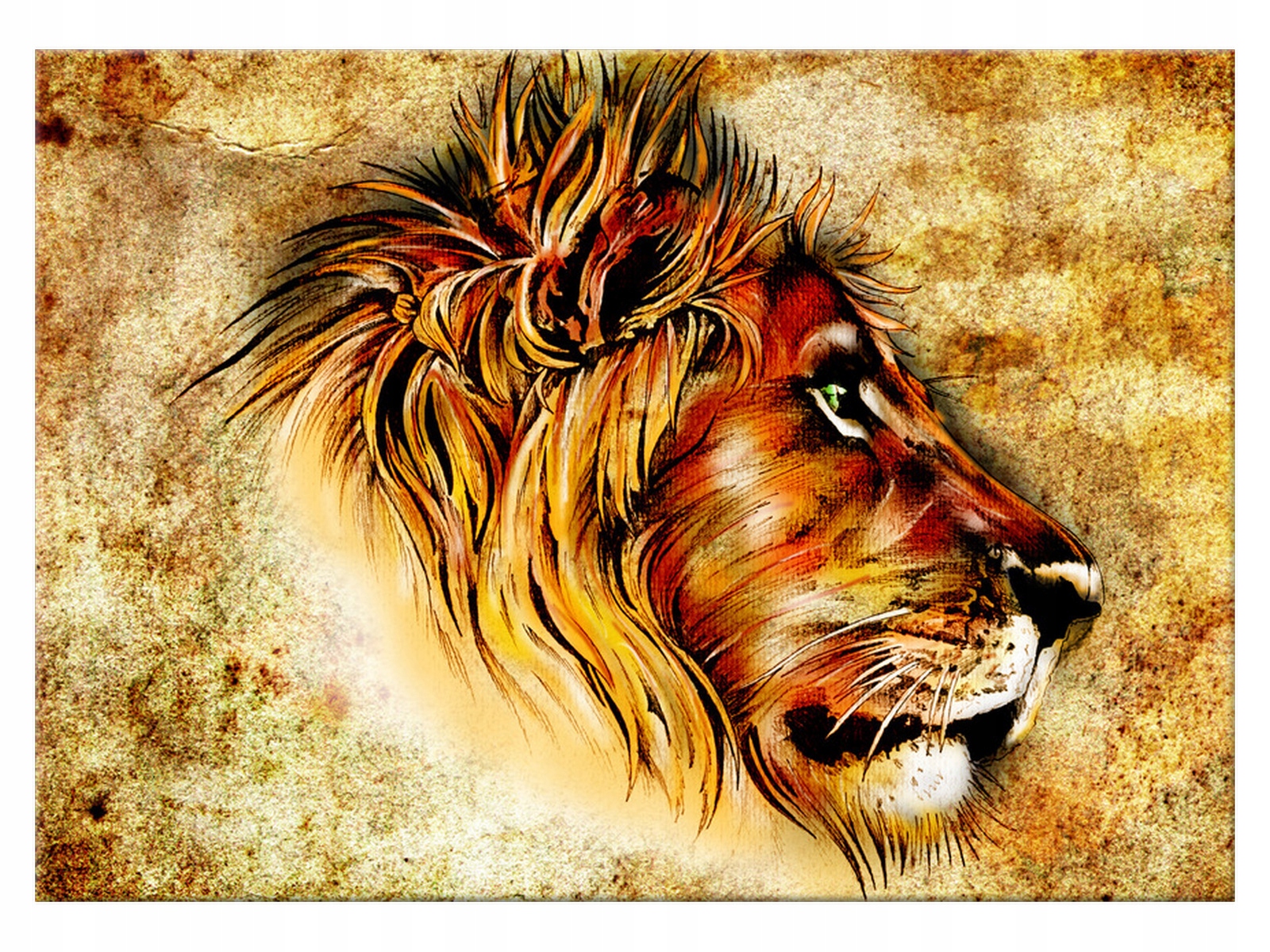 

Obraz Lew Dostojny lew 70x50 na ścianę salon