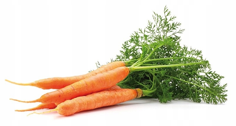 Urýchľovač opálenia do solária NATURAL Mrkvový olej 100 ml Značka Natur Planet