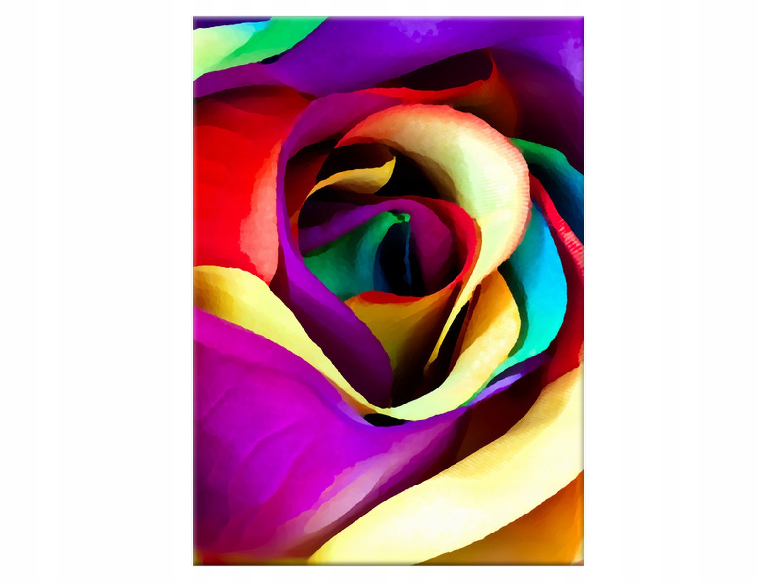 

Obraz Majstersztyk Róża 50x70 na ścianę salon