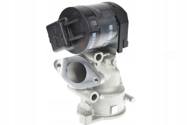 EG10396-12B1 - Delphi AGR клапан Citroen Peugeot 2.0 HDI
