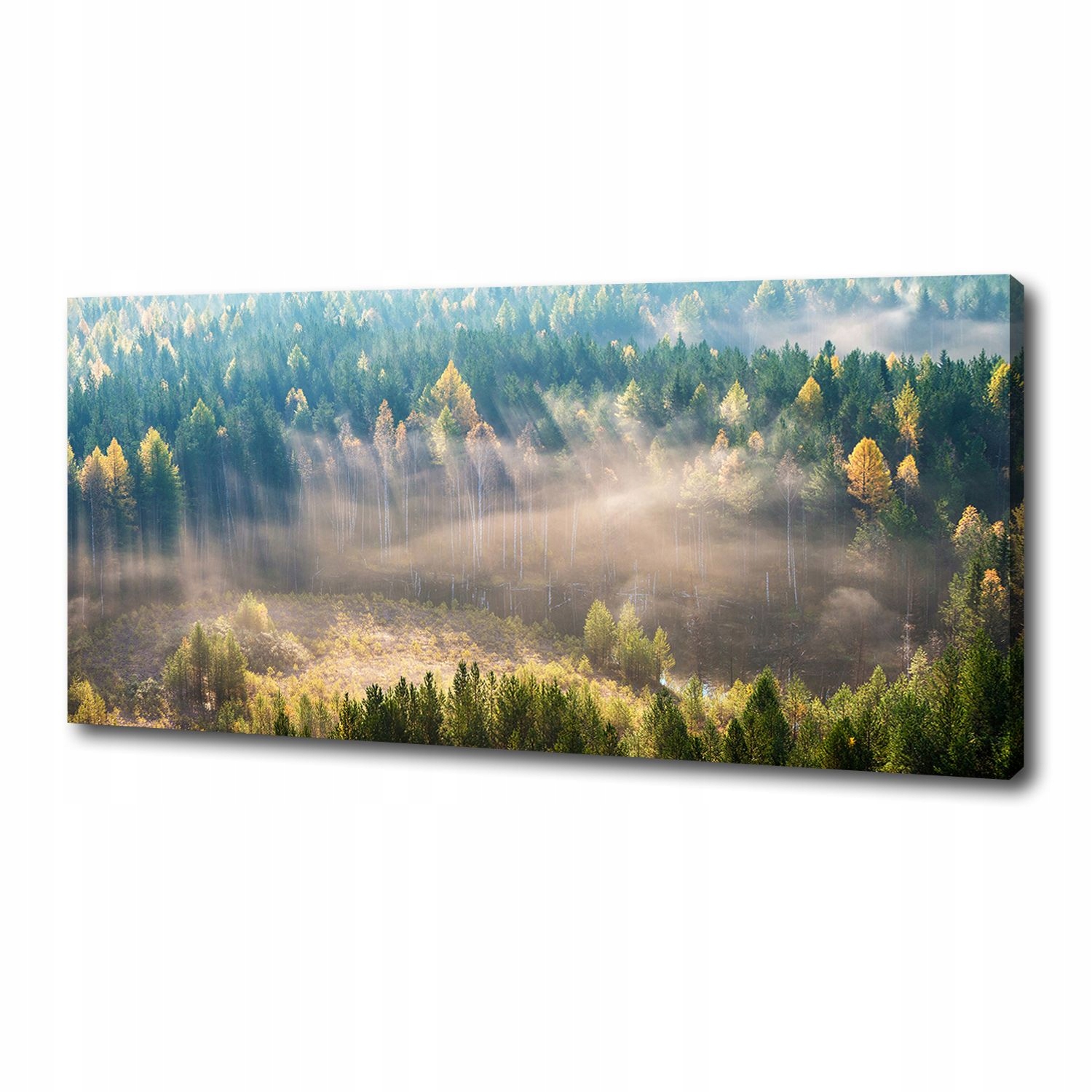 

Foto obraz duży na płótnie Mgła w lesie 125x50 cm