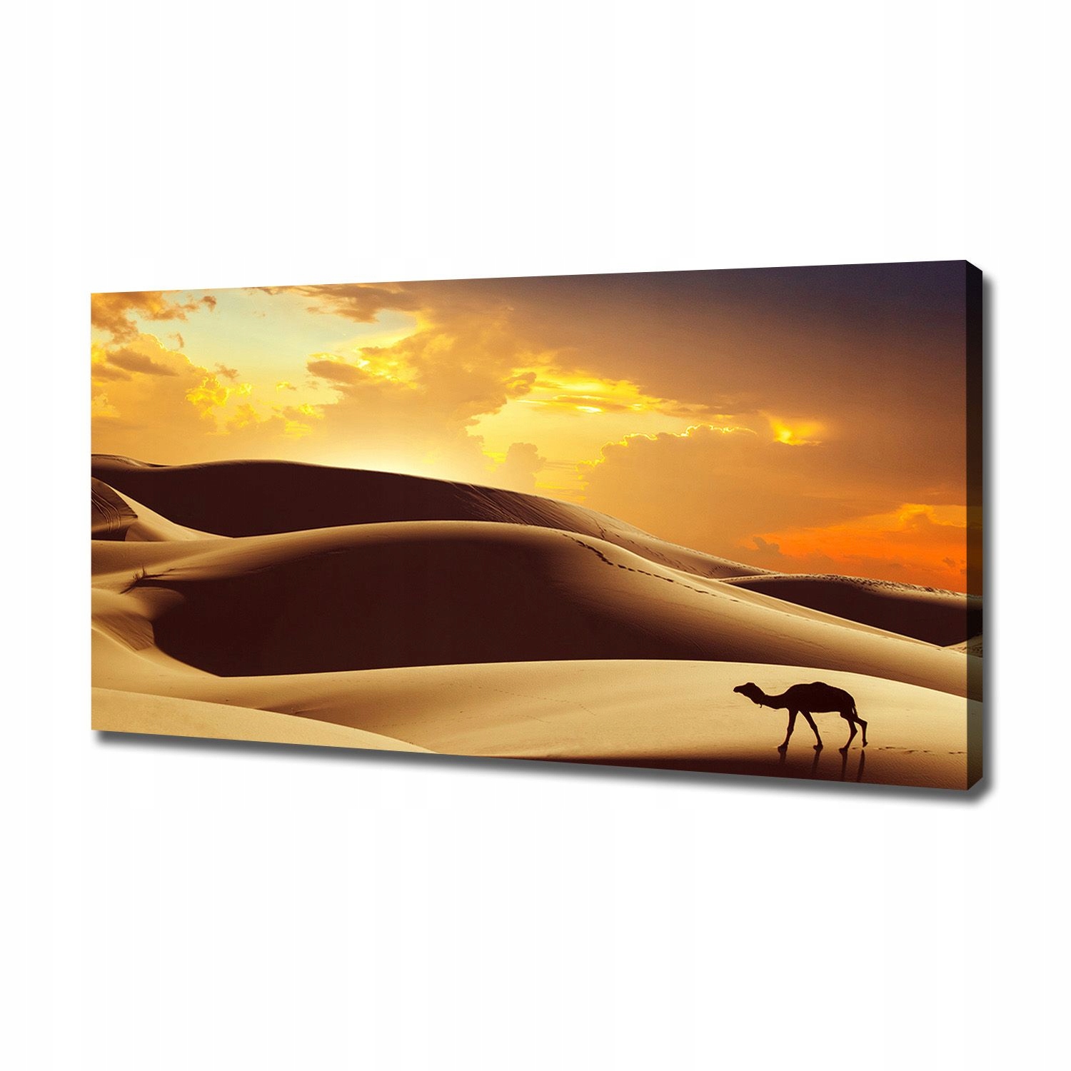 

Foto obraz na płótnie Wielbłąd Sahara 120x60 cm