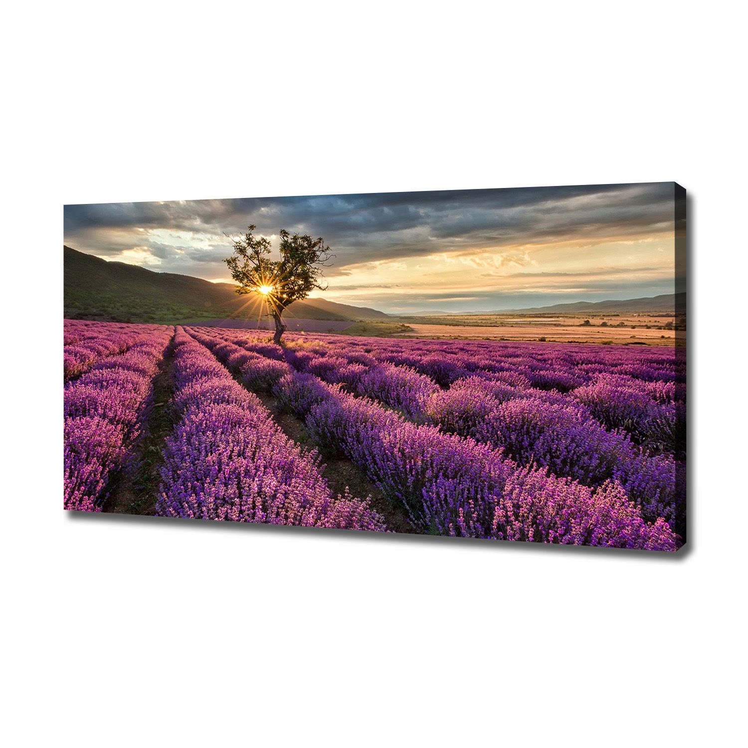 

Duży foto obraz na płótnie Pole lawendy 120x60 cm