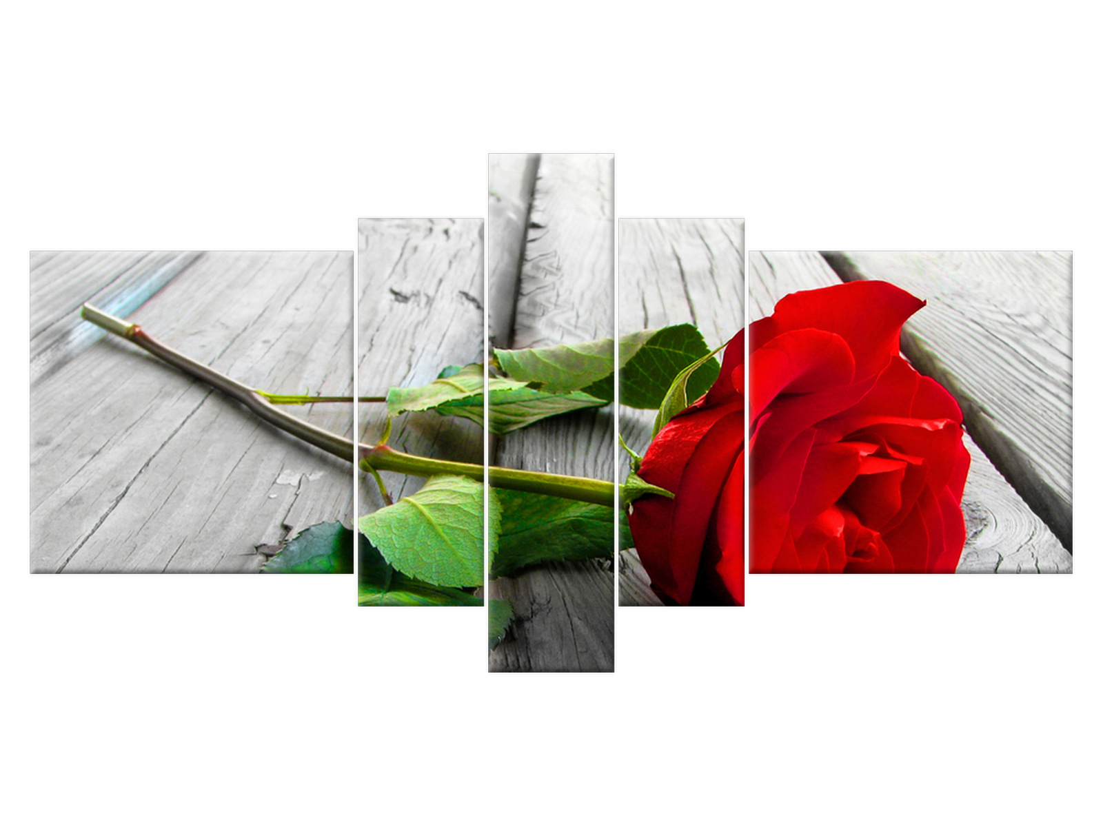 

Obraz Czerwona róża 160x80 Róża Kwiaty do salonu