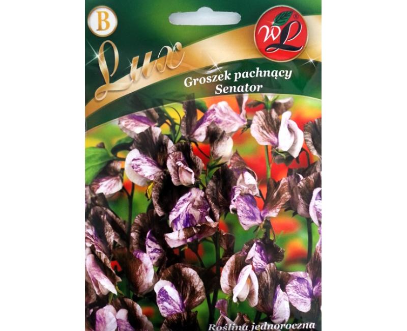 Nasiona Groszek pachnący czerwony, 3g — 16