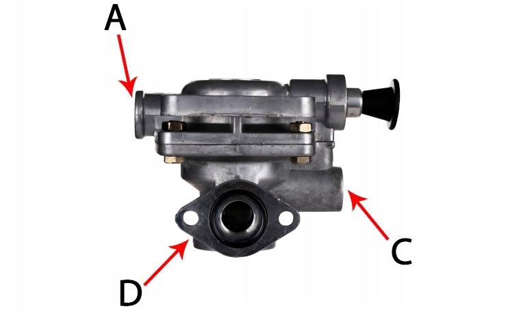 3f1244bd42eab87338f7a1cc376f