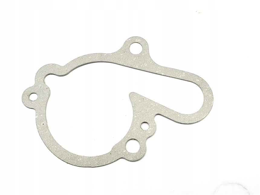 USZCZELKA POMPY WODY MINARELLI AM6 TZR DT TIGGER