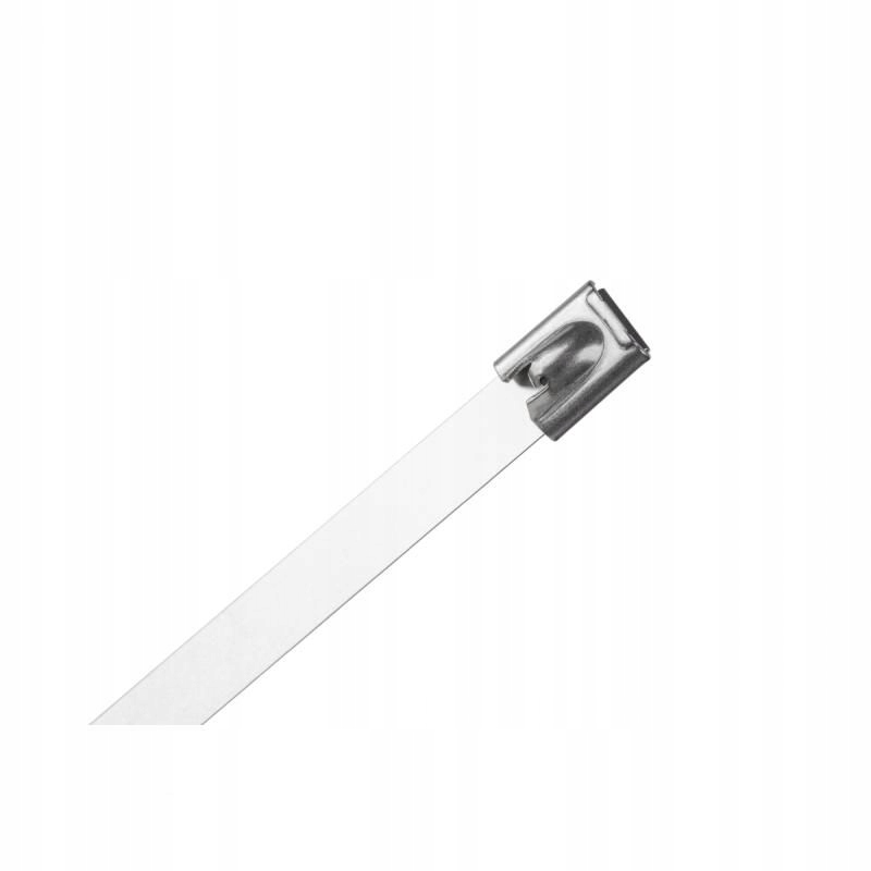 

Opaska zaciskowa stalowa 25cm x 4,6mm 10szt.