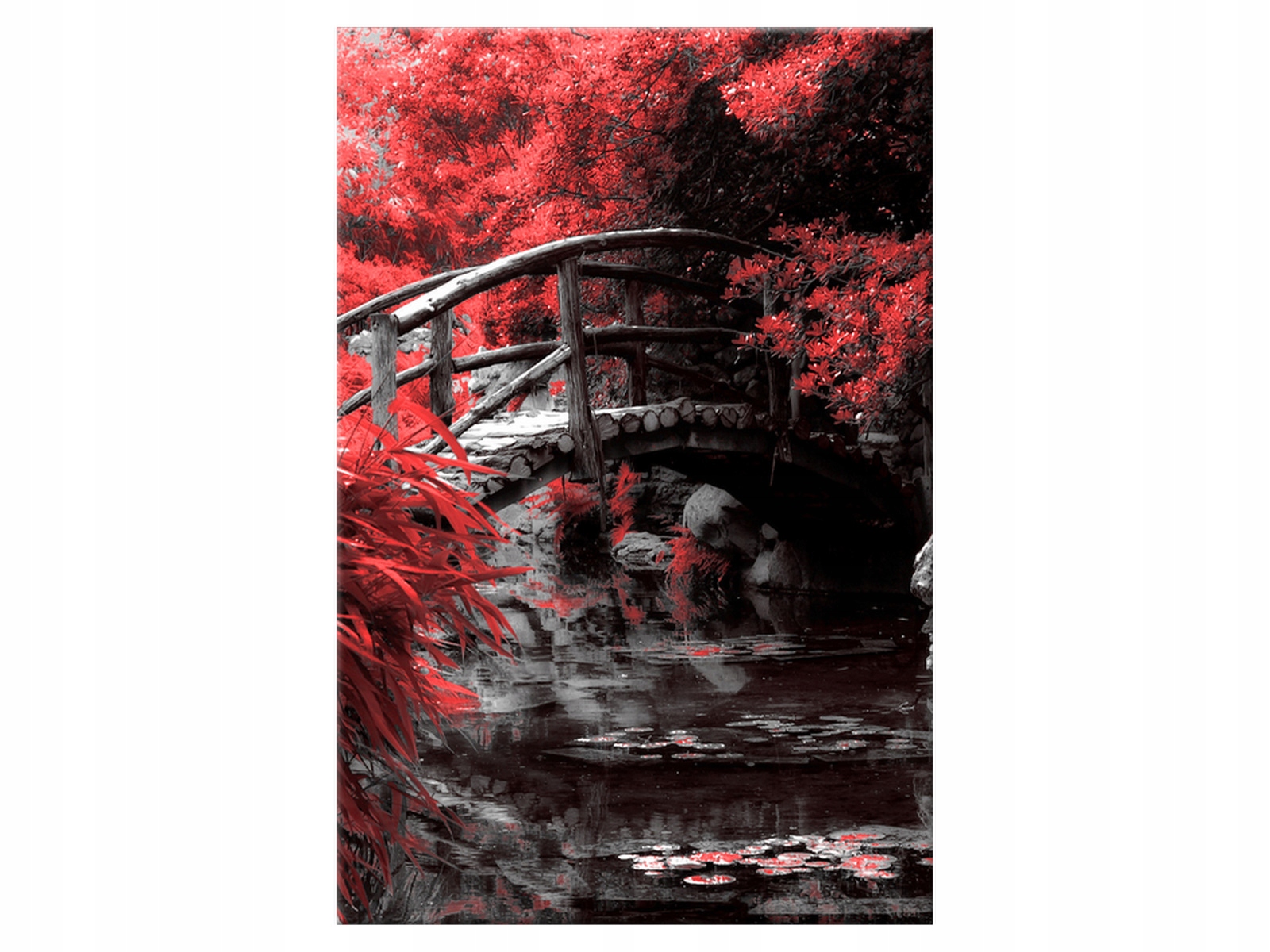 

Obraz Drzewo Japonia Ogród 60x90 Rośliny do salonu