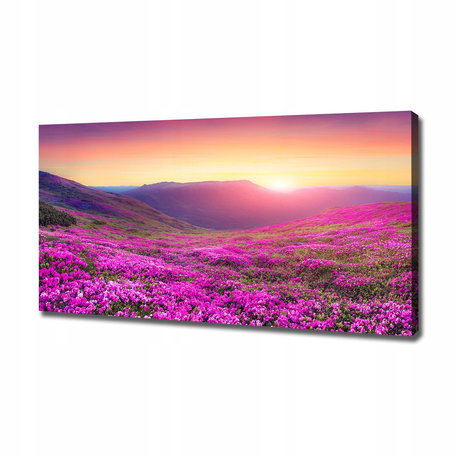 

Foto obraz na płótnie Różowe wzgórza 120x60 cm